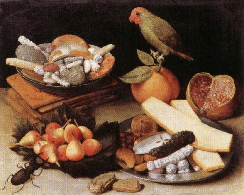 FLEGEL, Georg Still Life with Parrot China oil painting art